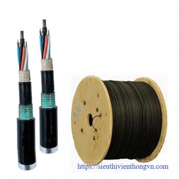 Cáp quang LS Outdoor MG Multimode 4 cores (LT-DJBGEXX/BRN MG4XXX)