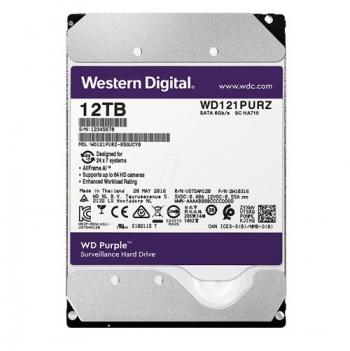 WESTERN PURPLE WD121PURZ