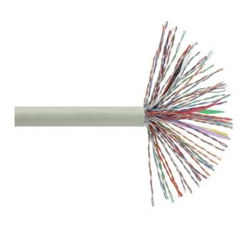 Cáp mạng 50 đôi LS CAT.5 U/UTP copper (UTP-G-C5G-E1VN-M 0.5X050P/GY)