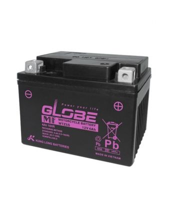 Ắc quy xe mô tô 12V-4Ah GLOBE WTZ5S