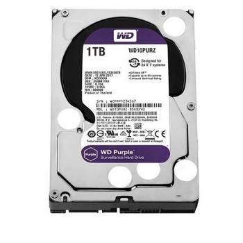 WESTERN PURPLE WD10PURZ